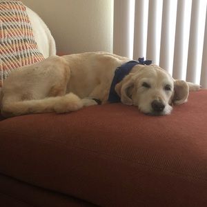 Meet your Posher, Claudia